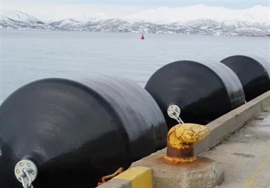 Eva Schaumgefüllter Kotflügel